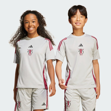 Maillot Adidas Jude Bellingham Training Junior 2025 Gris