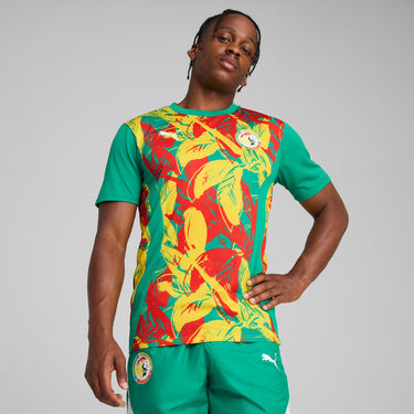 Maillot Sénégal Pre-match Homme 2025 Vert