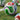 Ballon Coupe du Monde Trionda Training Adidas 2026 ( FIFA 26 ) Blanc