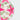 Logo Ligue des champions sur le ballon UCL Club 2026 blanc rose.