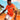 maillot football homme cote d ivoire entrainement match