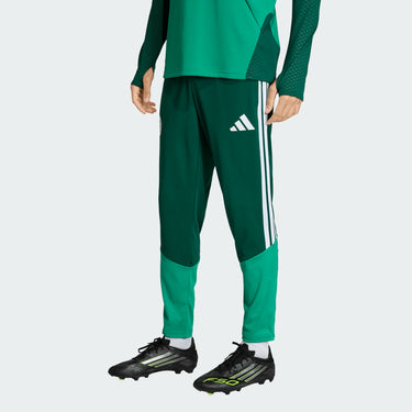 Algeria 26 Training Pants FAF JZ0216