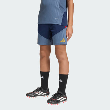 Kids' FC Bayern Munich Training Shorts 2026/27 - Blue