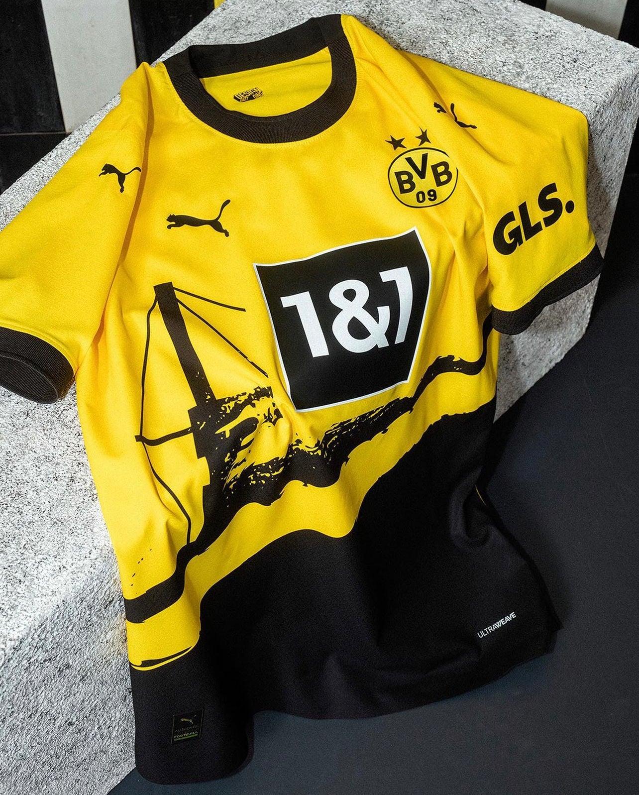 Borussia Dortmund 2023 - 2024