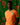 Maillot Côte d'Ivoire Domicile Homme 2025 Orange