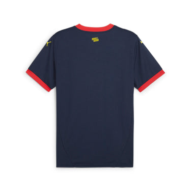 Maillot Girona FC Extérieur Homme 2024/25 Bleu