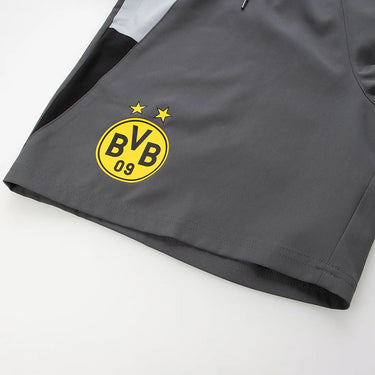 Short Borussia Dortmund Woven Homme 2023/24 Gris ( BVB )
