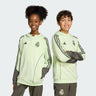 Sweat à Capuche Real Madrid Training Tiro 25 Junior 2025/26 Vert