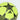 Ballon UCL Club Adidas 2025/26 ( Ligue des champions ) Jaune Fluo