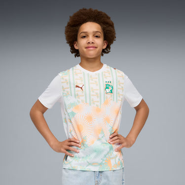 maillot football enfant cote d ivoire entrainement match