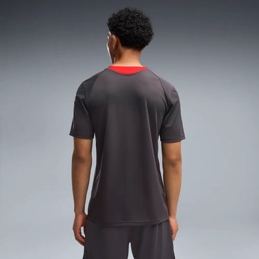 Camiseta de entrenamiento ACM gris oscuro 786639-20