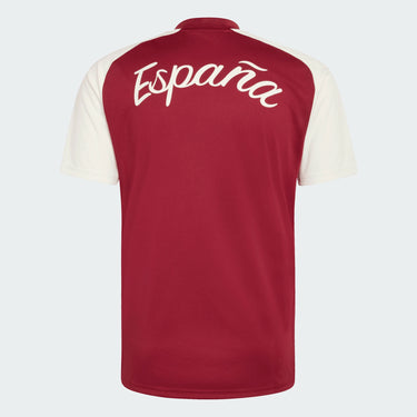 Maillot Pré-Match Extérieur Espagne Homme 2026 Bordeaux - Coupe du Monde