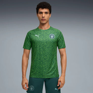 Maillot Manchester City x EA FC Pre-match Homme 2025/26 Vert