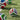 Ballon Coupe du Monde Trionda Mini Adidas 2026 ( FIFA 26 ) Blanc