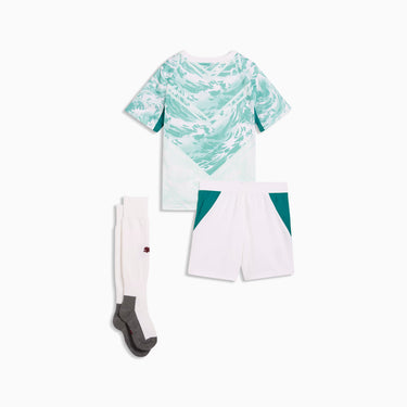 Cet ensemble comprend le maillot, le short et les chaussettes officielles.