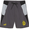 Short Borussia Dortmund Woven Homme 2023/24 Gris ( BVB )