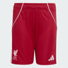 Short Liverpool F.C. Domicile Junior 2025/26 Rouge