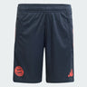 Short Bayern Munich Training Tiro 25 Junior 2025/26 Gris