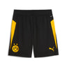 Short Borussia Dortmund Training Homme 2025/26 Noir ( BVB )