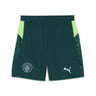 Short Manchester City Fourth Homme 2025/26 Vert