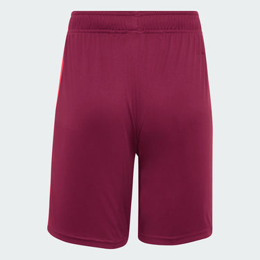 Short Olympique Lyonnais Extérieur 2026/27 Enfant - Rouge