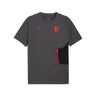 T-shirt AC Milan PumaTech Homme 2025/26 Gris