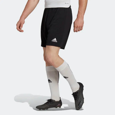 Short Adidas Training Entry 22 Homme - Planet Foot