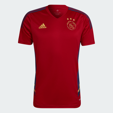 Camiseta de entreno Ajax Amsterdam Hombre 2022/23