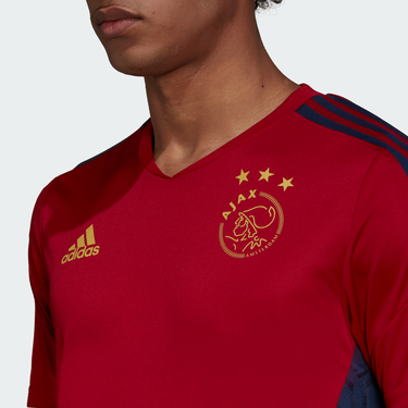 Camiseta de entreno Ajax Amsterdam Hombre 2022/23